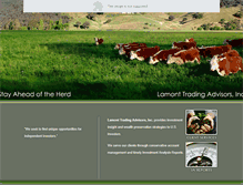 Tablet Screenshot of ltadvisors.net